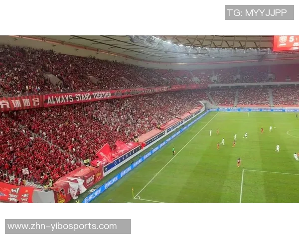 国内专业足球场建设现状与未来发展趋势分析